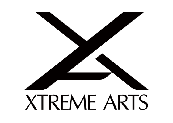 XA造极logo